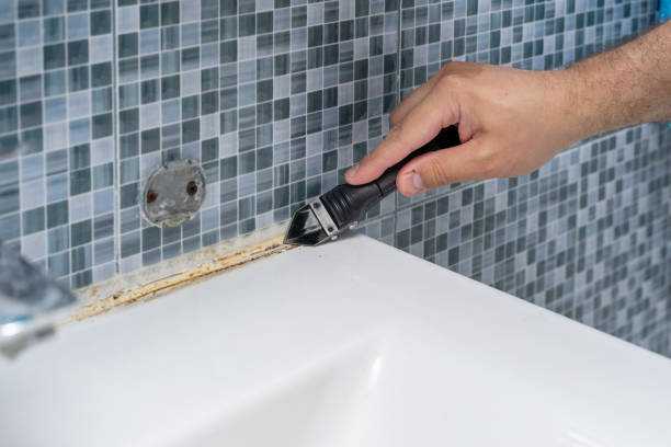 Best Mold Remediation for Schools in Planada, CA