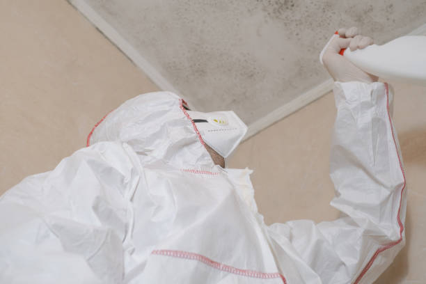 Best Industrial Mold Remediation in Planada, CA