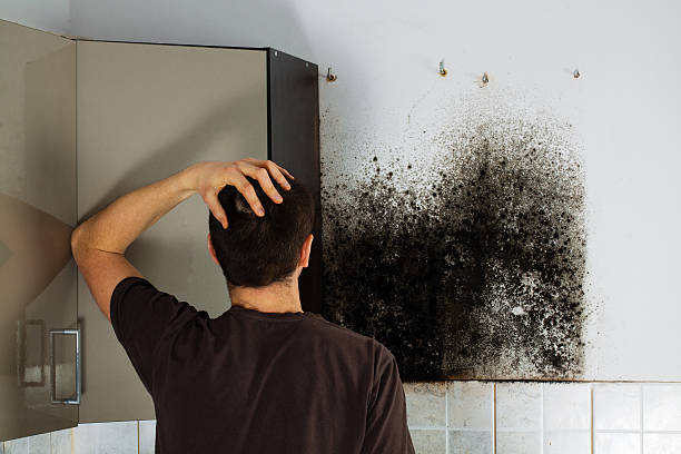 Best Crawl Space Mold Remediation in Planada, CA